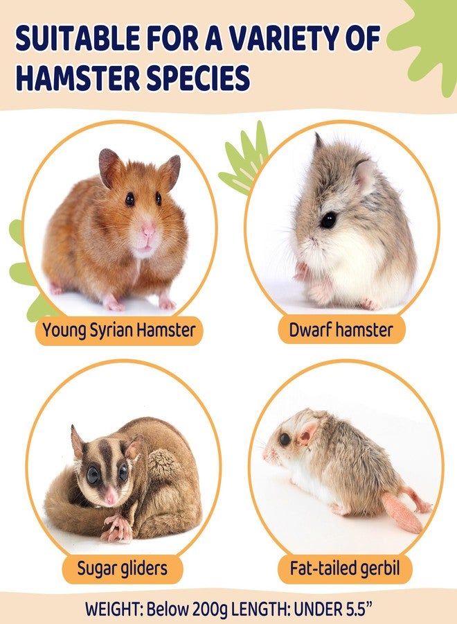 CypherX Wooden Hamster Hideout Hamster Toys Small Animals Cage Accessories for Hammie and Other Small Pets - Image 5